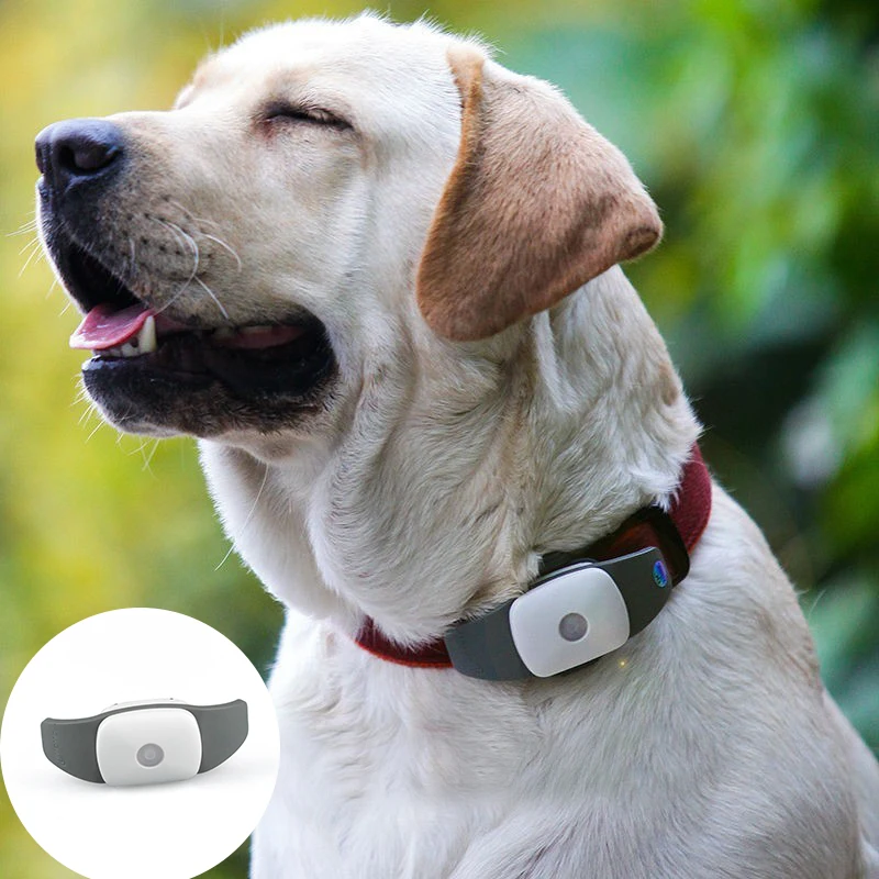 Мини ПЭТ локатор GPS appello 4 P followit Tracker кошки rastreador слежения Чип для собак Google карте