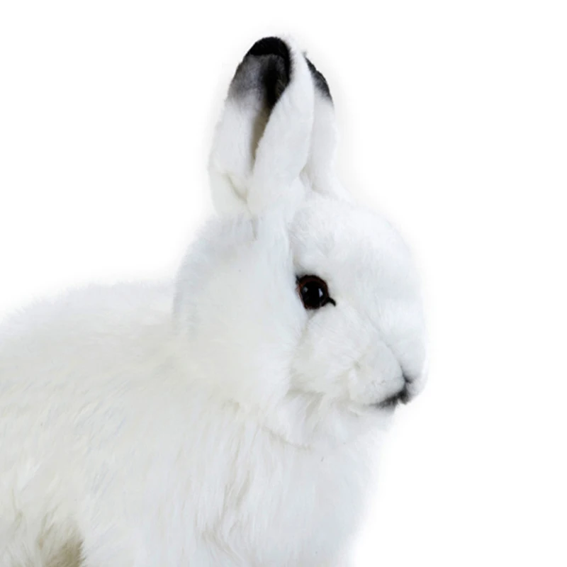 Милый 23 см Полярный заяц Lepus arcticus кролик моделирование реалистичные мягкие плюшевые игрушки