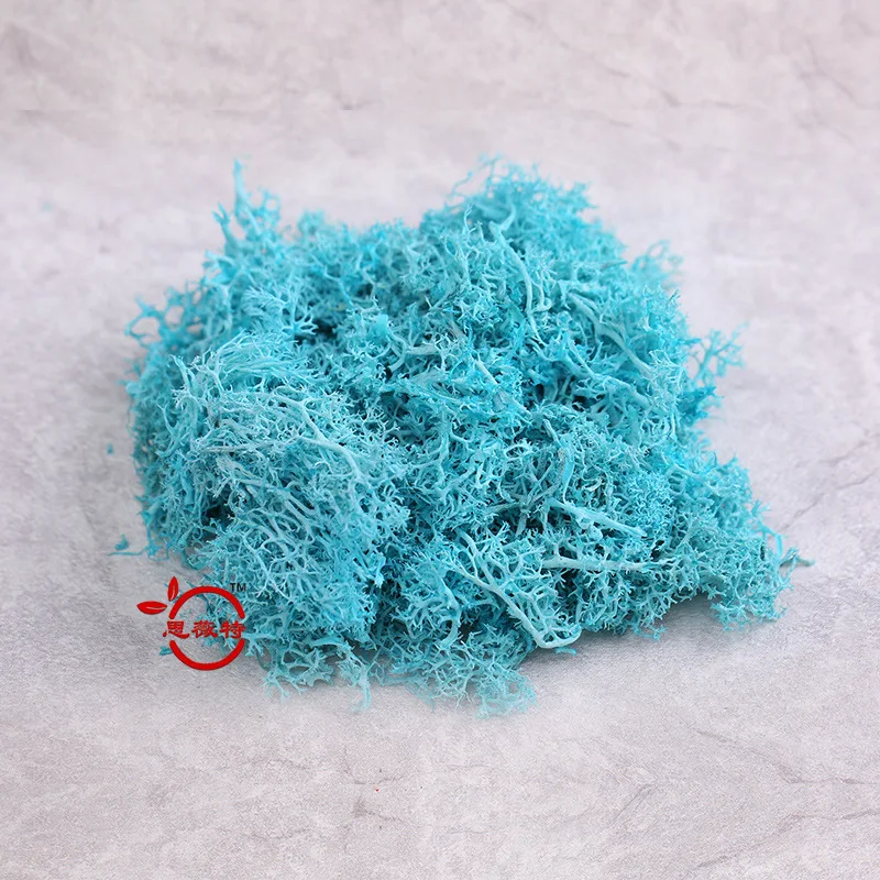 40 г многоцветный мох никогда не увядает страховые вечные цветы бесцветные Цветы