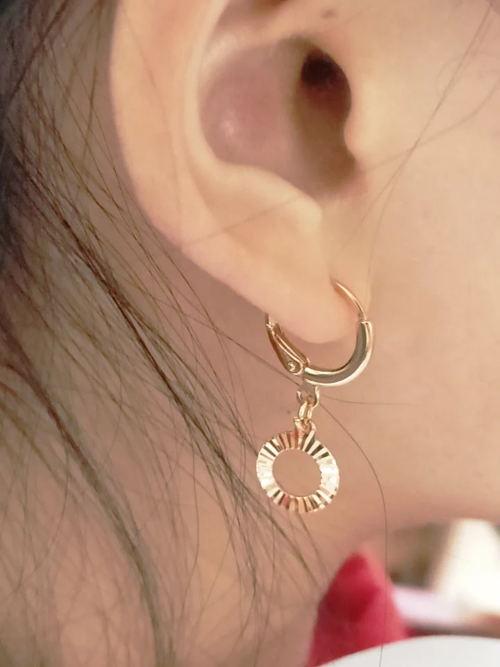 New Earrings Fashion Personality Circle Rivets Best Selling Simple Popular Gold Geometric Wild Jewelry Wholesale | Украшения и