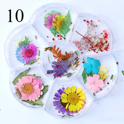 10 Natural Nail Dried Flowers Decoration Mix Dry Flower And Leaf Decor 3D Nail Art Designs Gypsophila Manicure Accessories - Цвет: 10