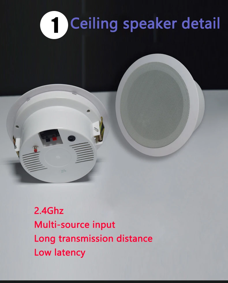 TP WIRELESS фоновая музыкальная звуковая система большого ресторана/бара/розничного