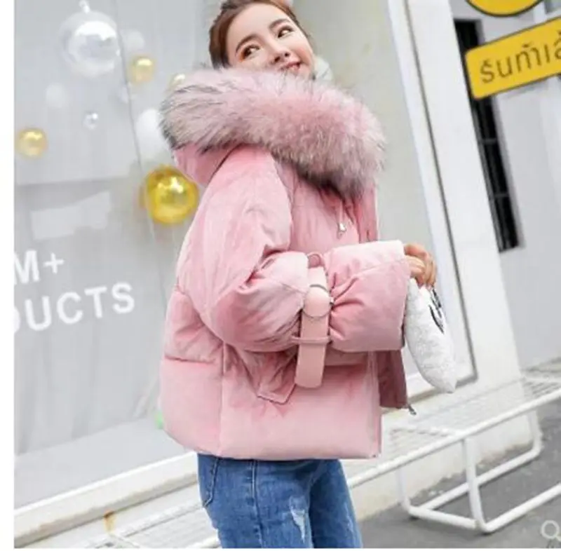 Женская куртка с хлопковой подкладкой Повседневная зимняя женская короткая