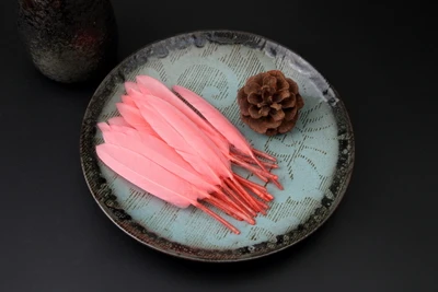 dark pink 50 новорожденных детей Ins стиль фотографии реквизит для детской фотосессии студия Красочные перо реквизит младенческой bebe fotografia аксессуары - Цвет: dark pink