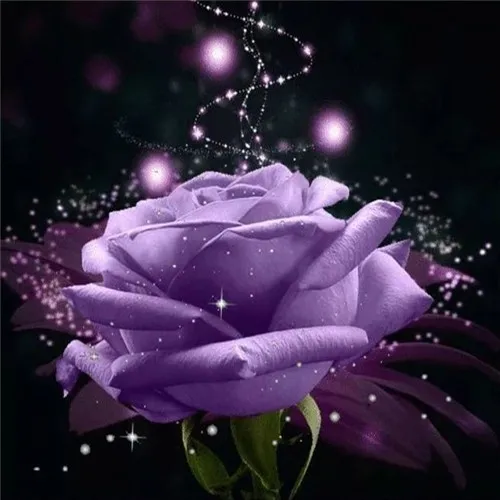V7021 EverShine Diamond Embroidery Flowers Pictures Of Rhinestones Full Square Diamond Painting Rose Diamond Mosaic Wall Decoration - Цвет: V7021