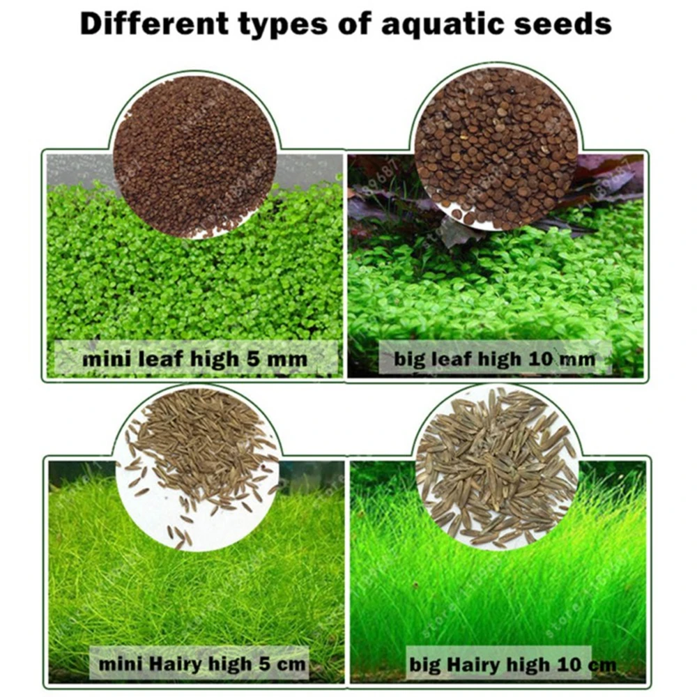 1 упаковка аквариумных растительных семян Glossostigma Hemianthus Callitrichoides легкая растущая вода растения Трава Пейзаж аквариума орнамент
