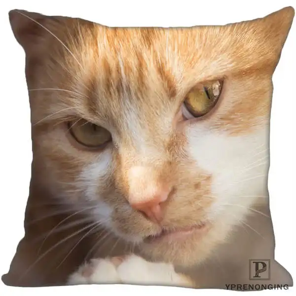 Square Pillowcases Custom Decorative Pillowcase Cats Kitten Rain Square Zippered Pillow Cover(One Side)80527-21-03 - Цвет: Square Pillowcases