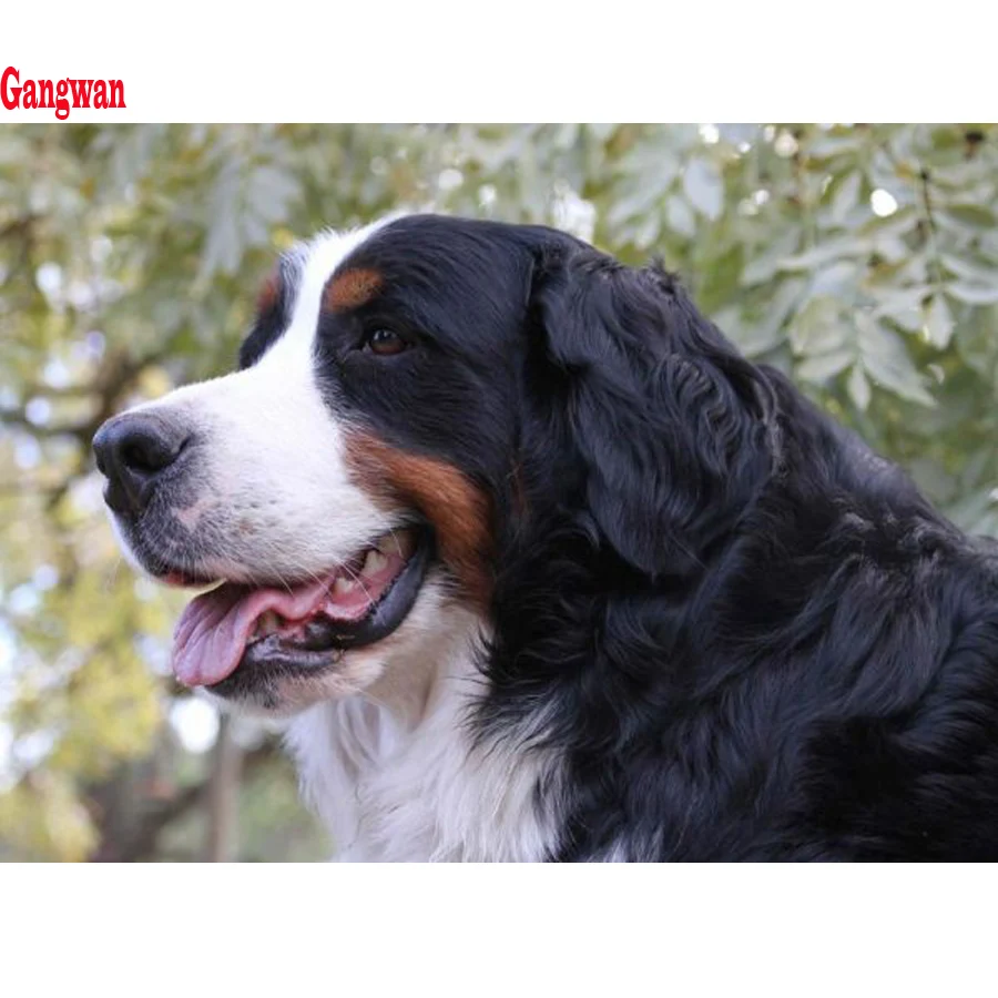 Алмазная живопись Bernese Mountain Dog щенок Кристальные бусины 5d Вышивка наборы для