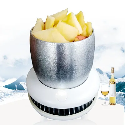 12 В 220 двойной переносной мини холодильник Электрический летний охладитель для