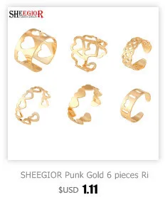 SHEEGIOR Boho длинные сережки для женщин Bijoux Femme милые золотые серебряные черные кисточки большая капля воды серьги-кольца, модные ювелирные украшения