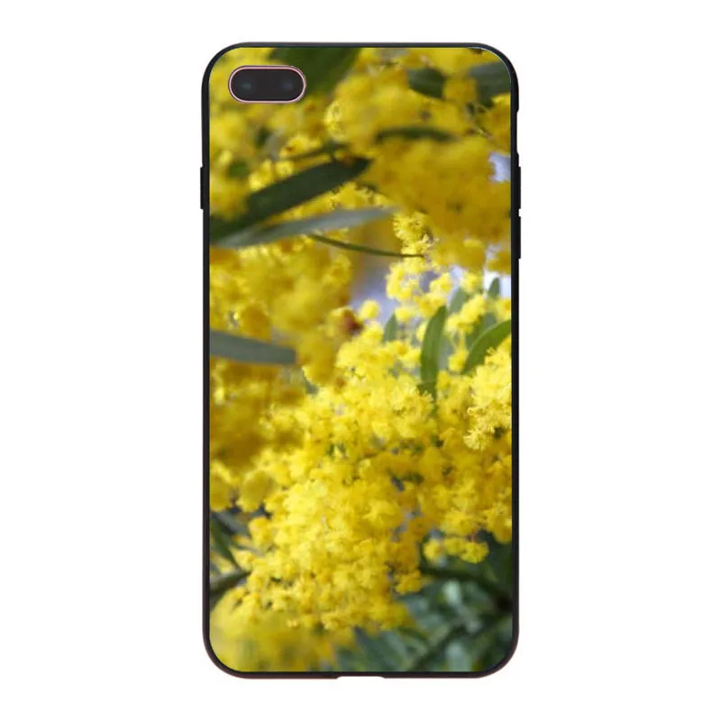 MaiYaCa желтый Мимоза цветы Новейшие супер милые чехлы для телефонов Apple iPhone 8 7 6 6S Plus X