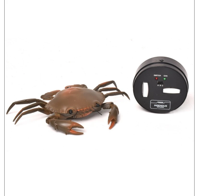 Crab Without Box Электрический пульт дистанционного управления Краб ИК-паук рептилия RC животное высокая модель моделирования детей Обучающие Игрушки для раннего развития - Цвет: Crab Without Box