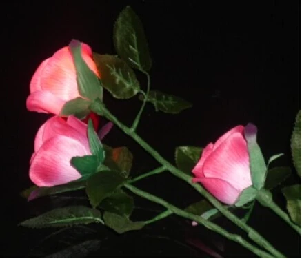 Освещение Роза королева (3 цветы версия для зарядки) Волшебные трюки маг