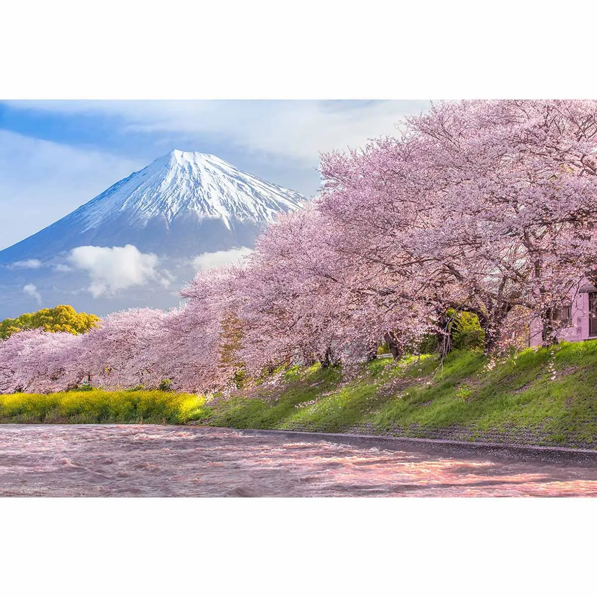 Allenjoy Япония Гора Fuji Фотофон Весенняя розовая фотография задник лес Экон винил |