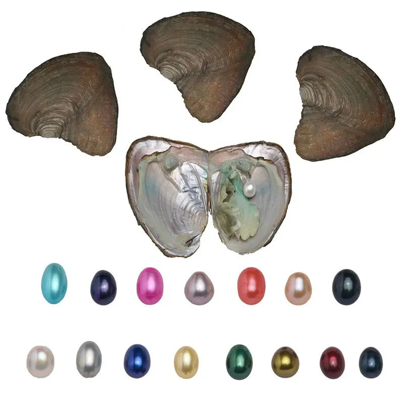 6 шт. в виде раковины Wish Pearl one Oyster в вакуумной упаковке, искусственный жемчуг в случайном порядке, размер 6-7 мм, женский подарок на день рождения, свадьбу
