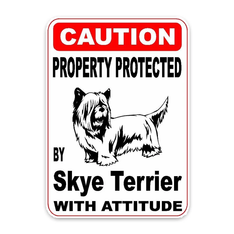 YJZT 10*14 2 см собственность защищенная Skye Terrier Dog креативная модная Автомобильная