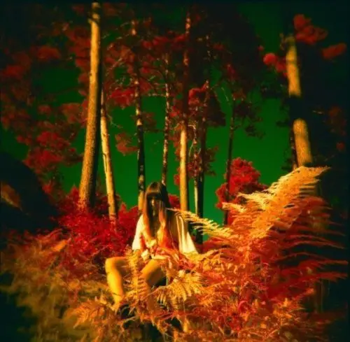 Пленка среднего формата HOLGA 120TLR / 120 TLR с двойной линзой зеркальная красная