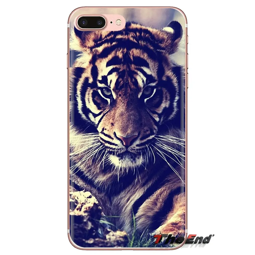 Lovely Panther Strong Lion Animal For Samsung Galaxy J1 J2 J3 J4 J5 J6 J7 J8 Plus 2018 Prime 2015 2016 2017 Silicone Cases Cover |
