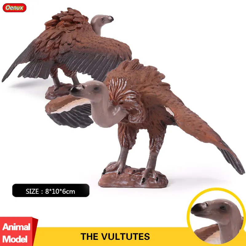 Фигурки животных Oenux Raptor Cinereous фигурки птиц Коллекционная модель совы обучающая