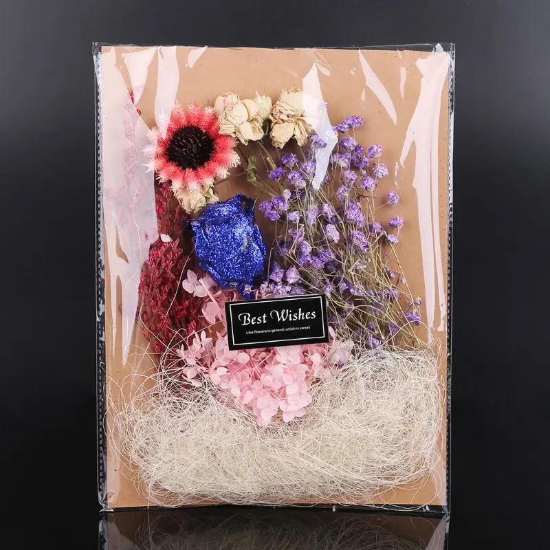 Прессованный высушенный цветочный гербарий из растений детский материал для