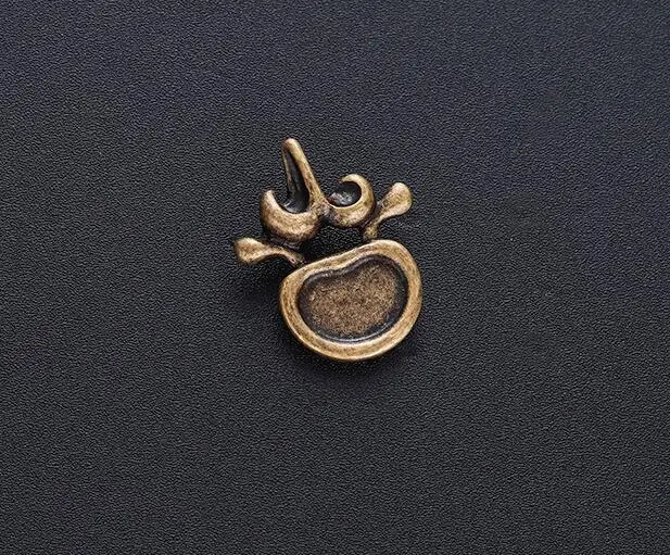 Покрытие антикварным золотом DCARZZ Vertebra Pewter Lapel Pins Medical Gift Doctor Nurse Antique Gold Silver Spine Pins Brooches Trendy Jewelry Women Gift - Окраска металла: Покрытие антикварным золотом