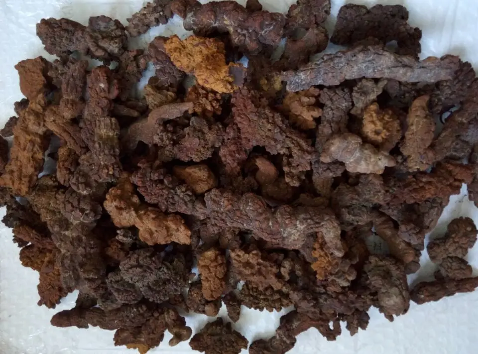 Оптовая цена! 2 2lb большой COPROLITE fossized динозавр Poop образец Fossi|fossi| |