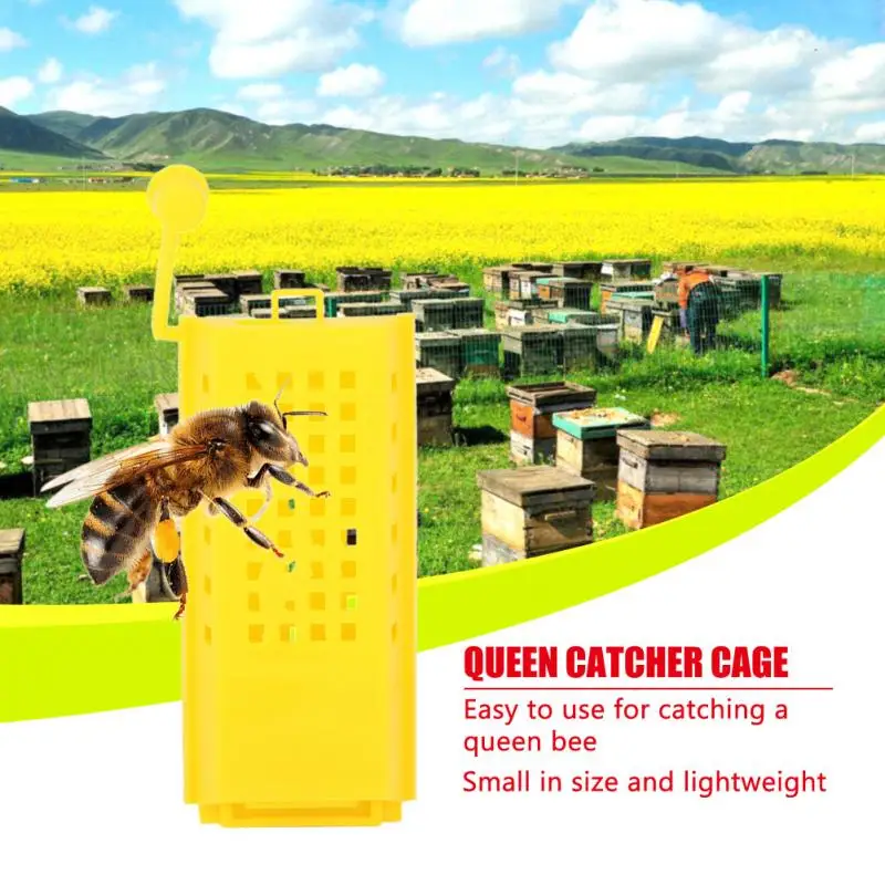 10pcs Beekeeping Equipment Tools Beekeeper Apiculture Professional Transport Plastic Bee Cages Box for Isolation Bees Queen Cage | Дом и сад