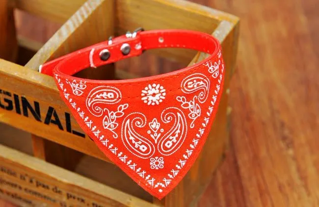 Оптовая продажа ошейников для маленьких собак|collar for cats|cat collarsmall cat collars |