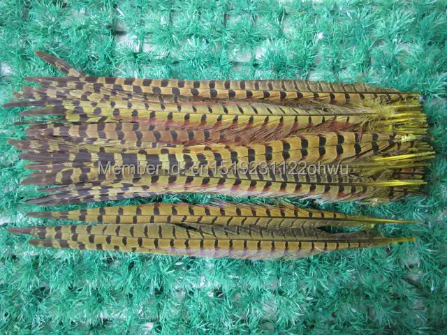 

Wholesale 100 pcs beautiful yellow Pheasant Feather 14-16 inches 35-40 cm free shipping