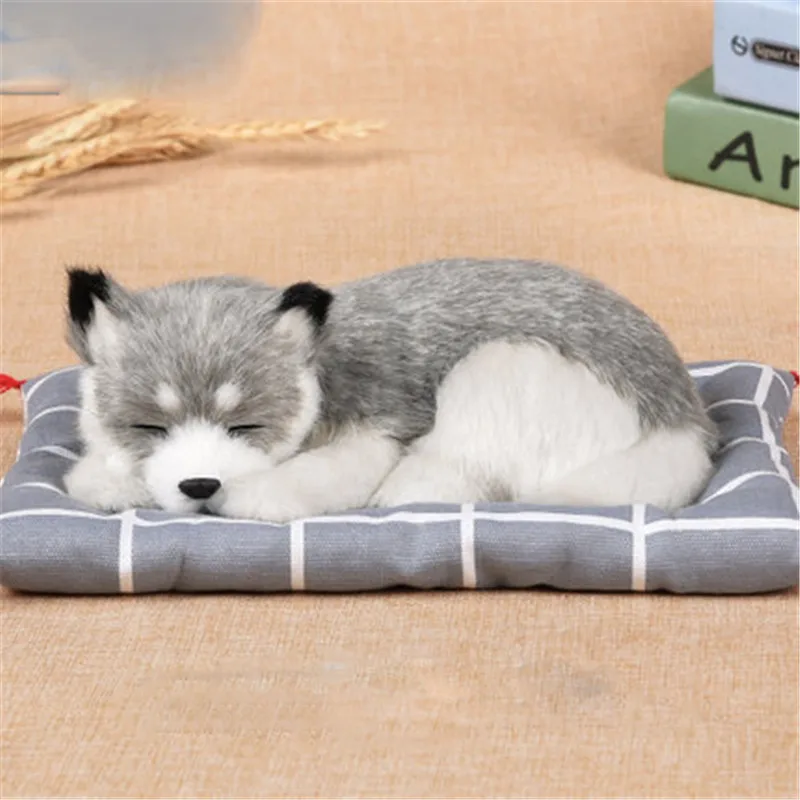 C Кошки, плюшевая игрушка, кукла, мягкая собака, плюшевая, kawaii, Хаски, куклы, моделирование, животные, игрушки для детей, украшение автомобиля, подарки, Новинка - Высота: C