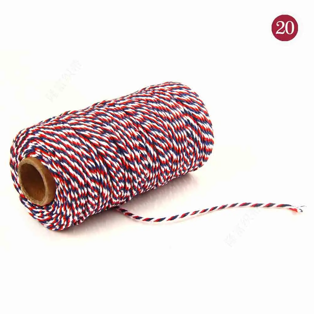 20 100 м цветной шнур из чистого хлопка, витая веревка, ручная работа, ручная работа, украшение для дома, 2 мм - Цвет: 20