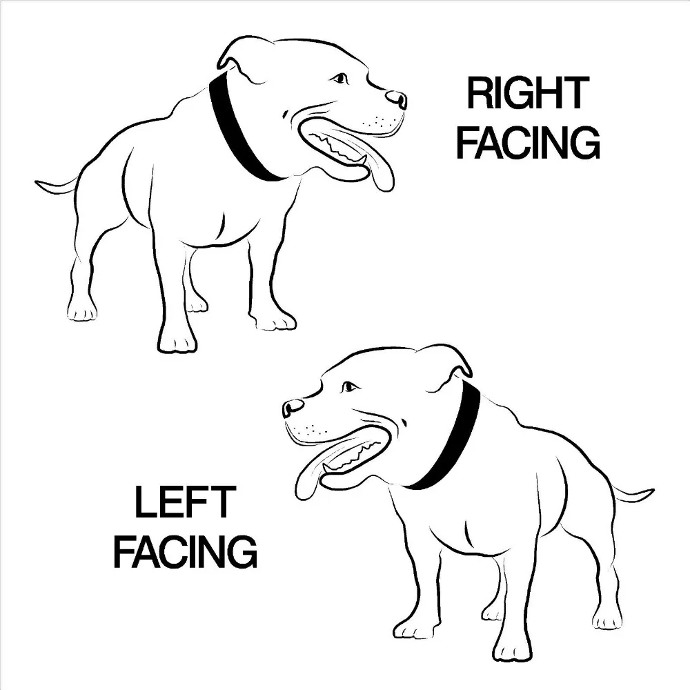Стаффордширский с бультерьером собакой настенная Виниловая Наклейка номер