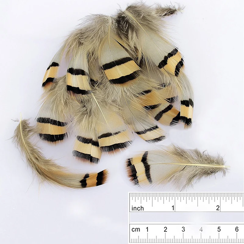 High Quality Artificial Selection 5-8cm DIY Manual For Pheasant Feather Clothing / Shoes Hat Home Decoration Accessories | Дом и сад