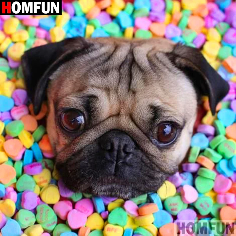 HOMFUN Full Square/Round Drill 5D DIY Diamond Painting &quotAnimal dog candy&quot 3D Embroidery Cross Stitch Home Decor A19223 | Дом и сад