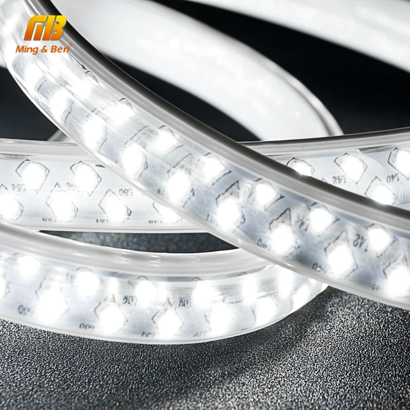 Светодиодный гибкие полосы 1-20 м без мерцания 220 V SMD2835 Водонепроницаемый IP67 188