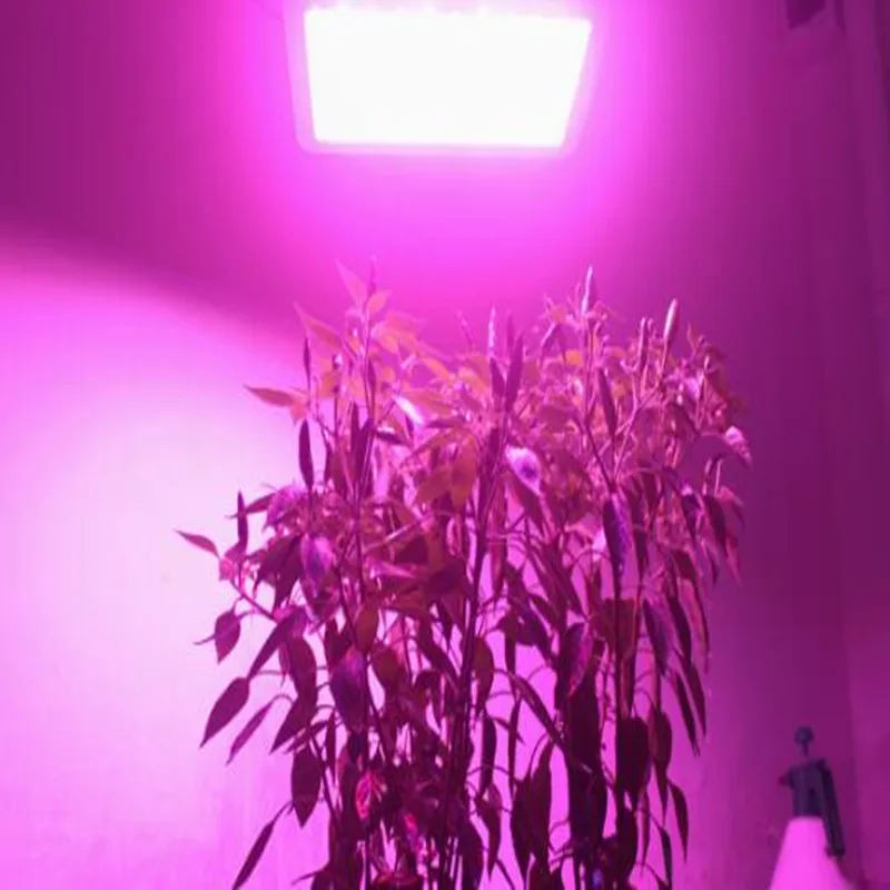 5 шт. COB LED 150 Вт AC220 в прожектор высокой мощности с чипом DOB полный спектр для