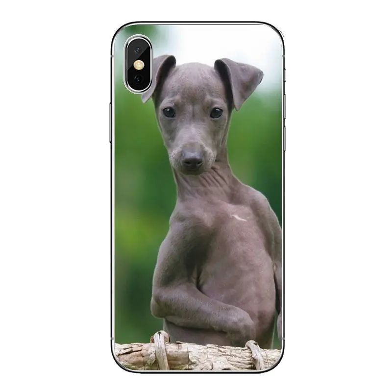 Для iPod Touch iPhone 4 4S 5 5S 5C SE 6 S 7 8 X XR XS Plus MAX galgo greyhound puppy Dog Pets прозрачный мягкий чехол