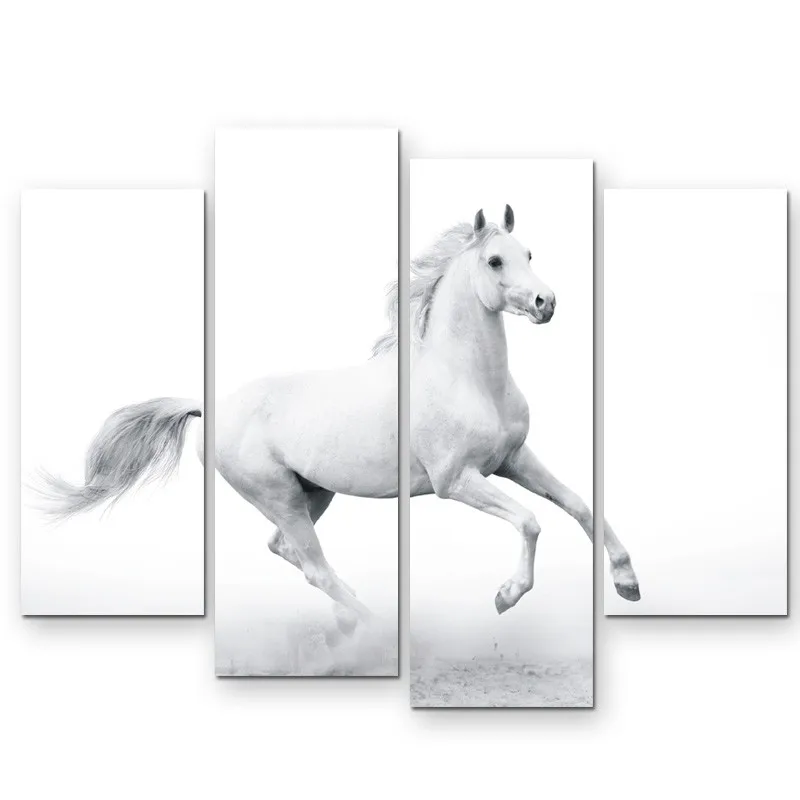 2017 4Pcs Animal Painting Strong White Horse Art HD Picture Modern Home Living Room Wall Decor Canvas Print Unframed | Дом и сад