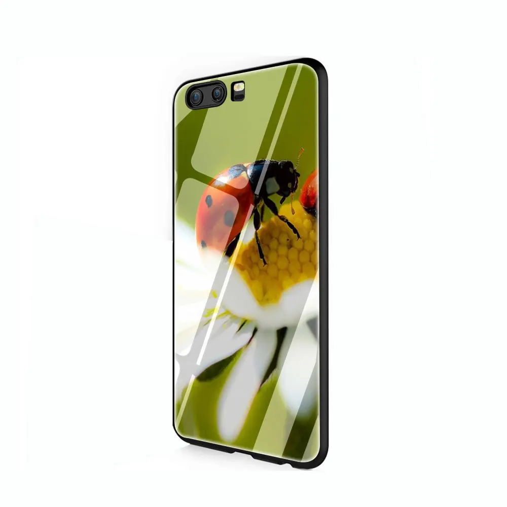 G11 Чехол из закаленного стекла с божьей коровкой и насекомыми для huawei mate P 10 20 30 Lite Pro Y9 Honor 8X 7A - Цвет: G11