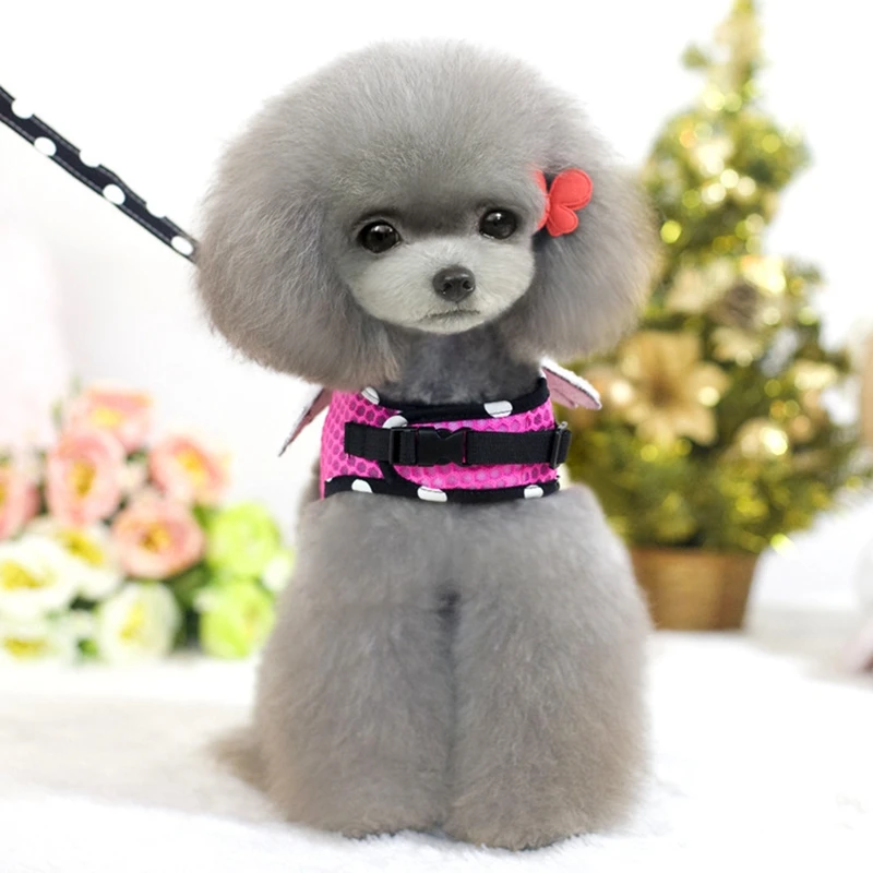 1 2 м милый поводок для собак угловой сетка щенков маленьких животных Чихуахуа