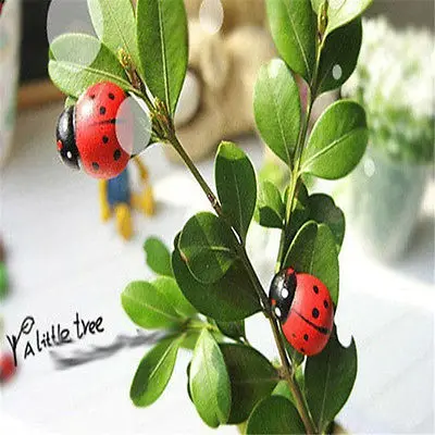 100pcs Wooden Beetle Ladybug Refrigerator Sponge Paster Cute Fridge Wall Sticker | Дом и сад