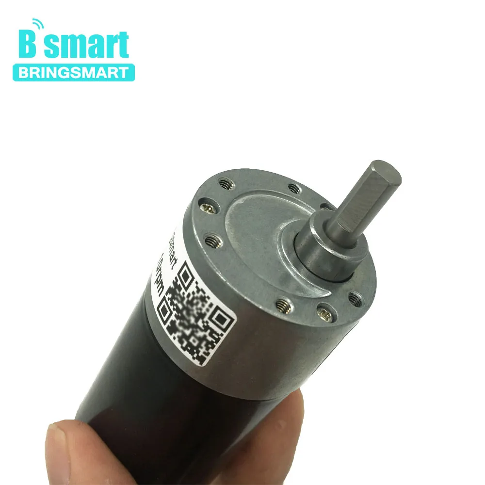 Bringsmart 12 24 В бесщеточный электродвигатель с редуктором постоянного тока редукция