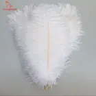 Перья страуса, натуральные белые, 15-70 см, 100 шт.лот