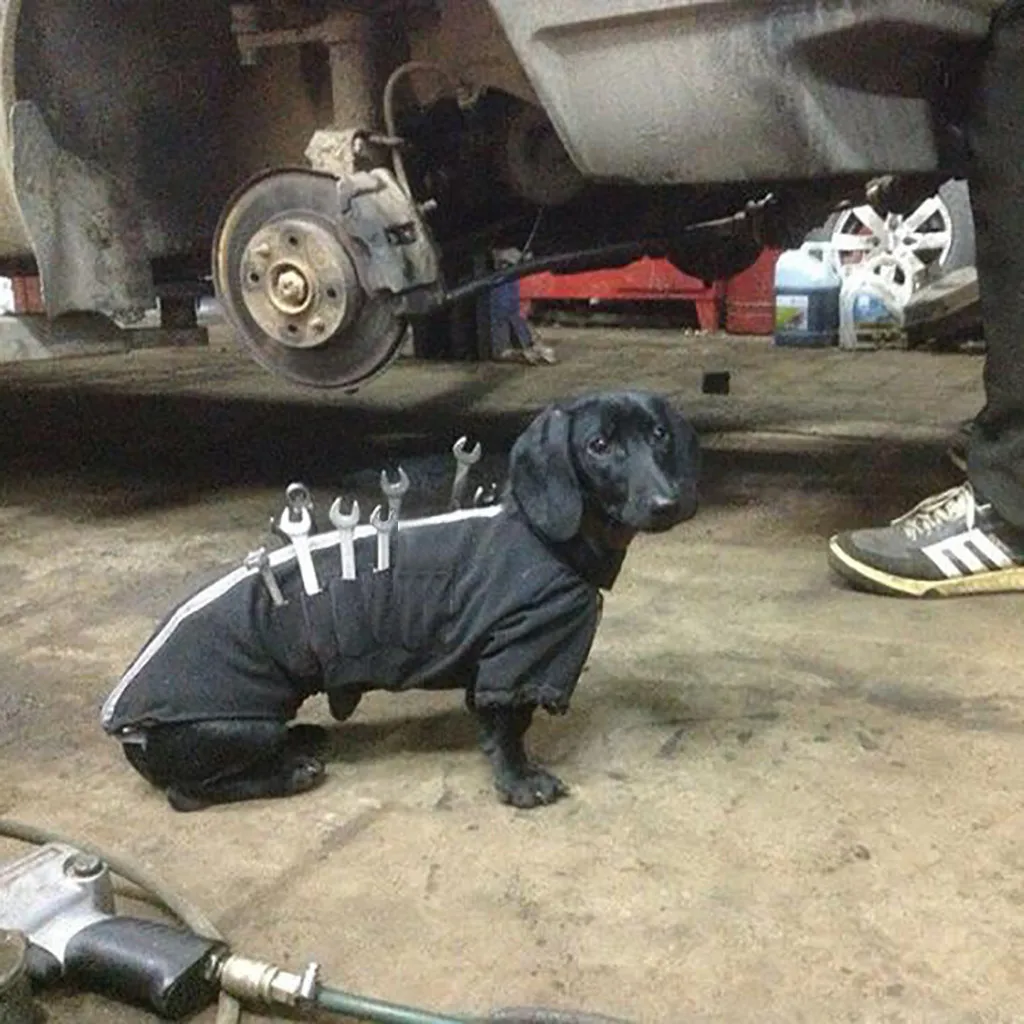 ISHOWTIENDA прибытие Рабочая собака механика помощник собаки жилеты креативный