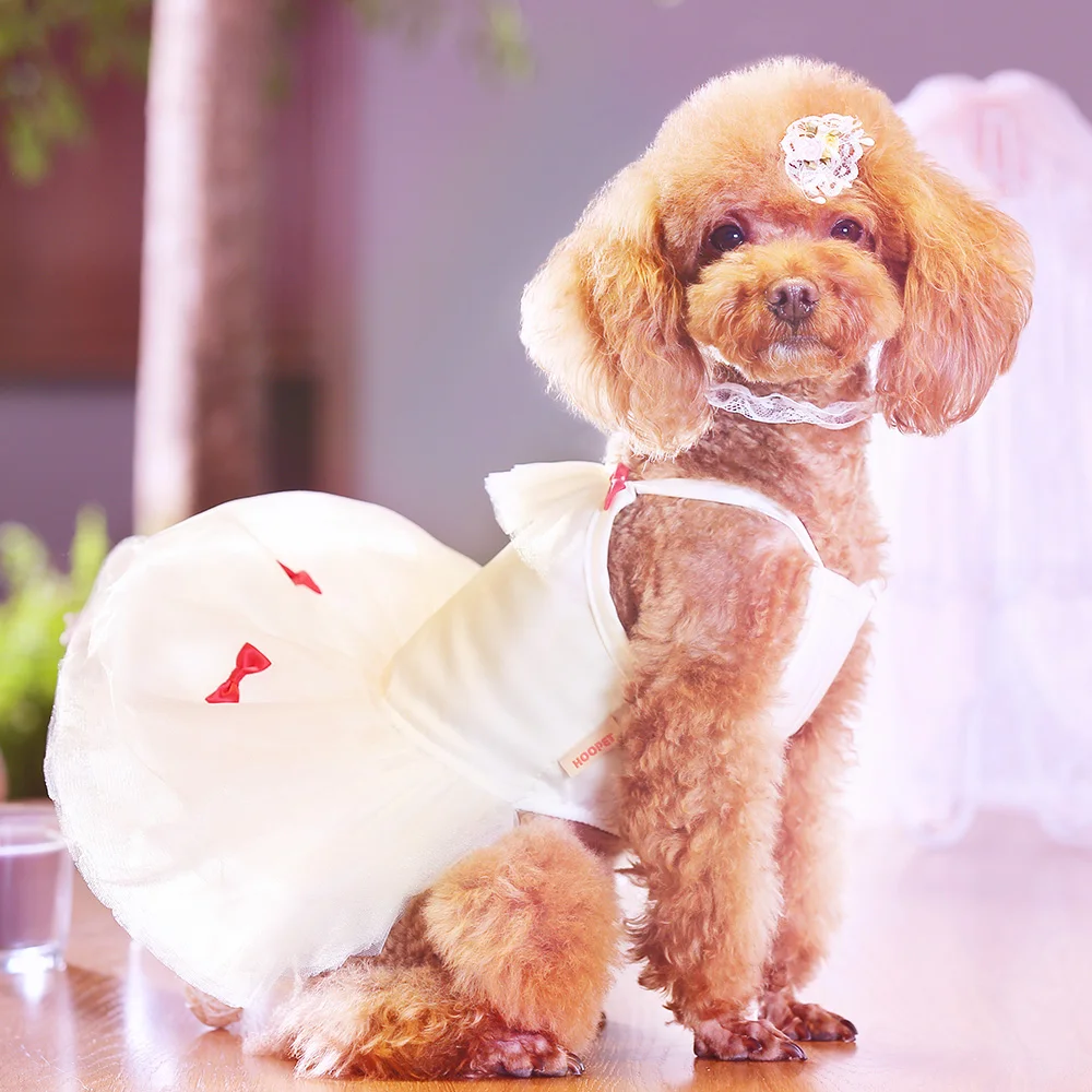 HOOPET Pet Cat кружевные костюмы свадебное тонкое летнее платье принцессы Тедди Одежда