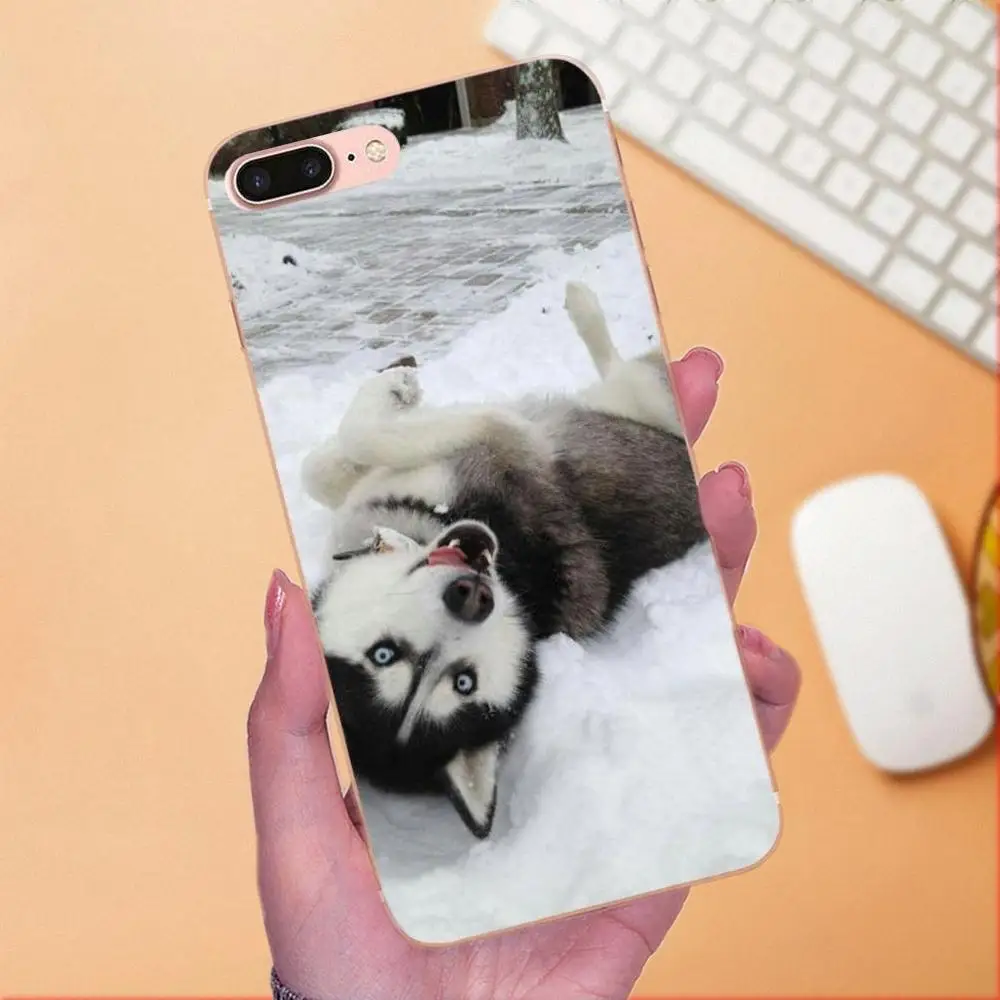 Ультратонкий чехол для телефона Sony Xperia Z Z1 Z2 Z3 Z4 Z5 compact Mini M2 M4 M5 T3 E3 E5 XA XA1 XZ Premium Husky Dog