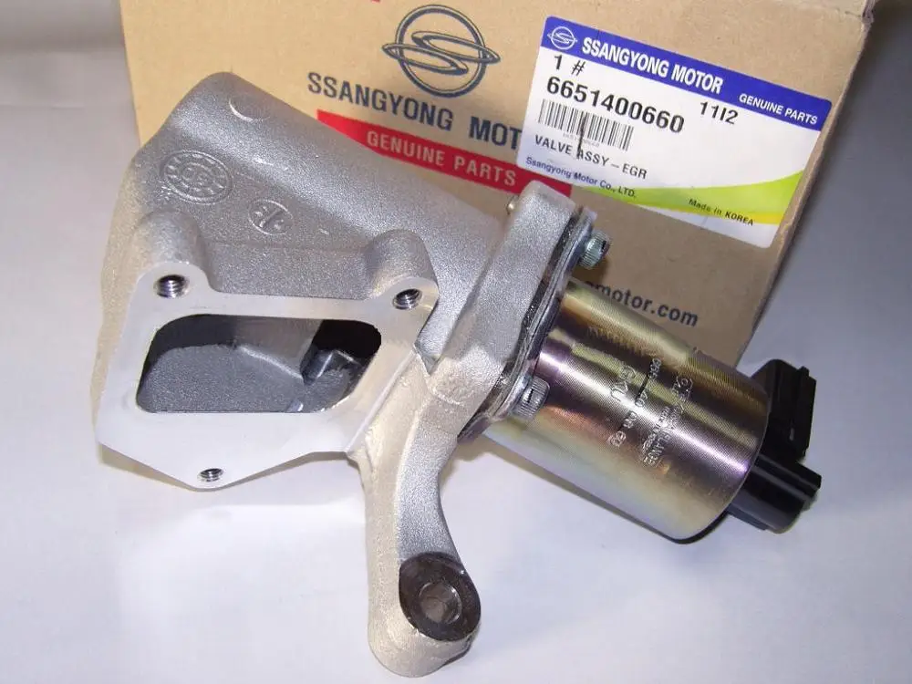 EGR Valve 1PC OEM привод рециркуляции выхлопных газов EGR клапан и Прокладка: Для SsangYong REXTON ACTYON KYRON 2007~ 2011#6651400660 - Цвет: EGR Valve 1PC