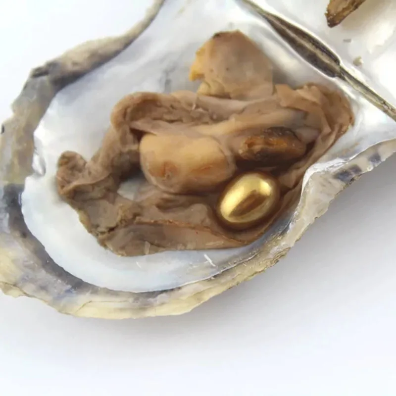 Выгодное предложение 6-8 мм Овальный Форма Жемчуг культивированный Oyster с одной жемчужиной внутри(10 шт./упак - Цвет: Коричневый