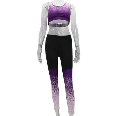 Color B Set 2Pcs Комплект из 2 предметов для фитнеса, женские бесшовные леггинсы с высокой талией, пуш-ап, спортивная одежда для йоги, Женская Спортивная одежда для бега - Цвет: Color B Set 2Pcs
