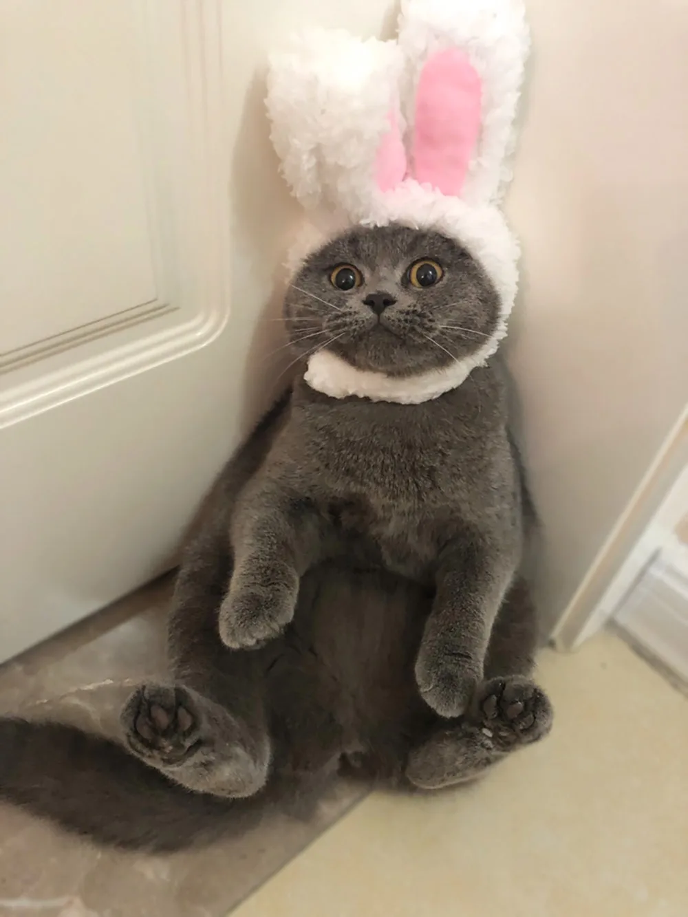 Забавный милый костюм кошки Кепка для косплея шапка с кроличьими ушками головной